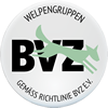 BVZ Welpengruppe
