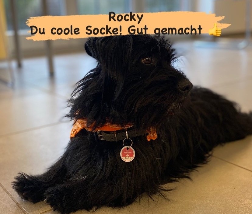 Christiane und Rocky