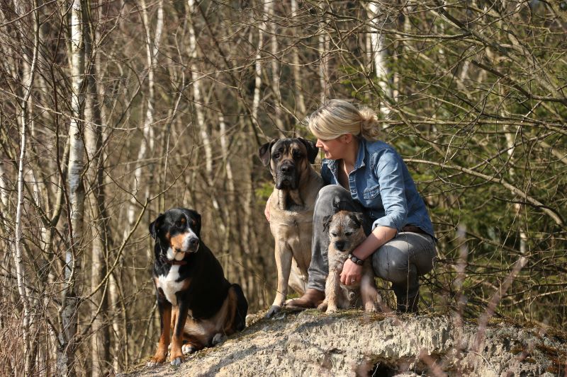 Die Beziehung! Grundlagen einer entspannten Mensch-Hund Beziehung