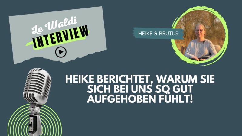 Heike berichtet, warum Sie sich bei uns so gut aufgehoben fühlt!