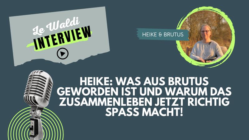 Heike: Was aus Brutus geworden ist und warum das Zusammenleben jetzt richtig Spaß macht!
