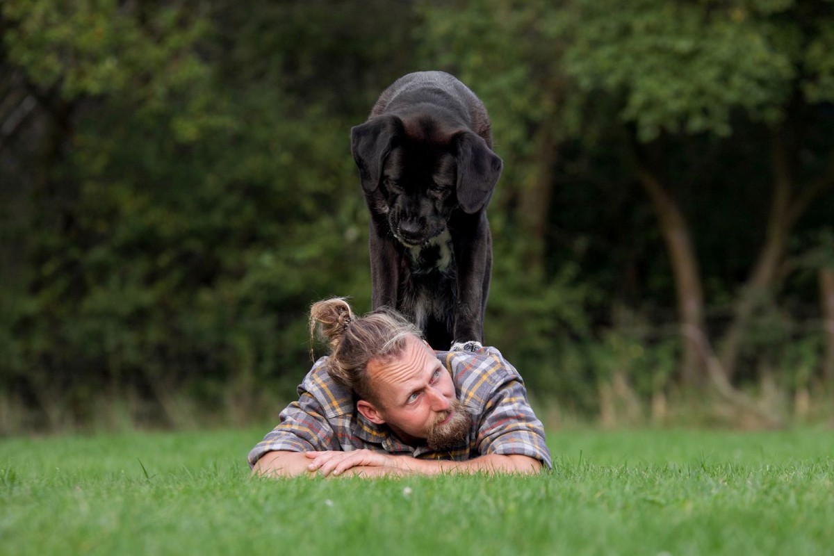 Intensivtraining: Kommunikation Mensch & Hund