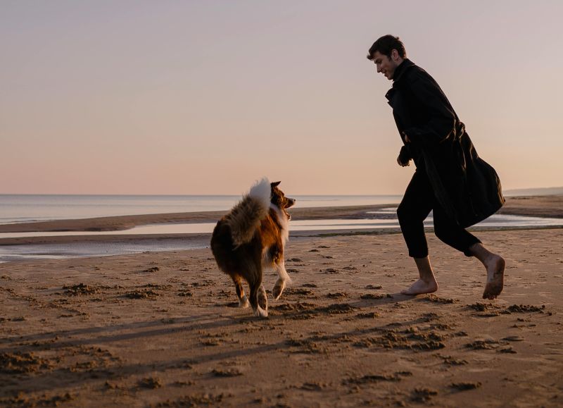 LE WALDI 360°. Der            Kompass für Hundehalter*innen