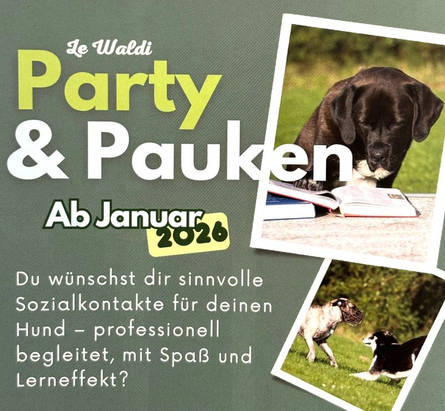 Party & Pauken