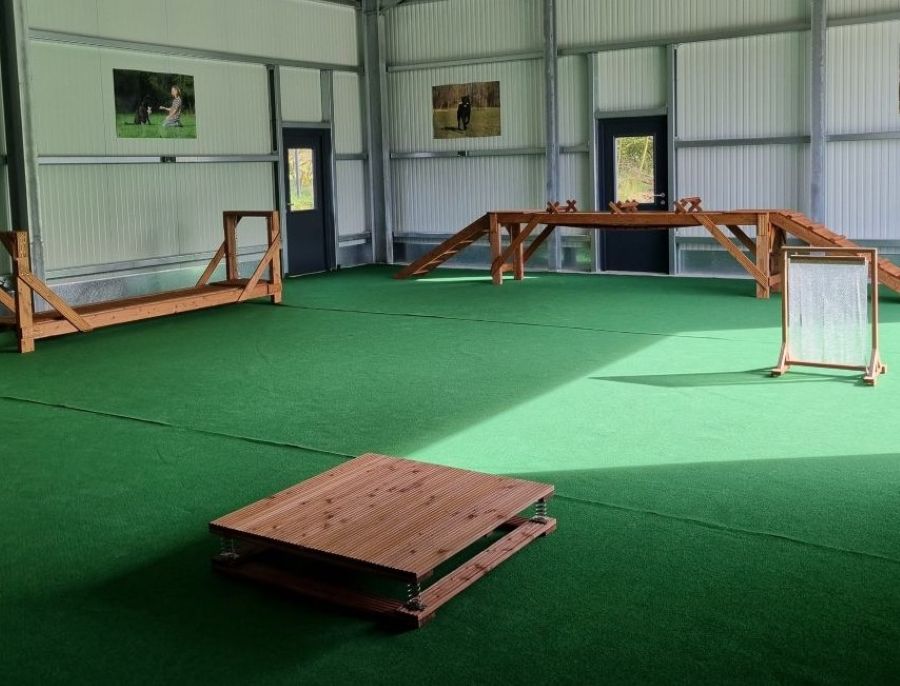 Schnuppertraining Birne & Body allgemein