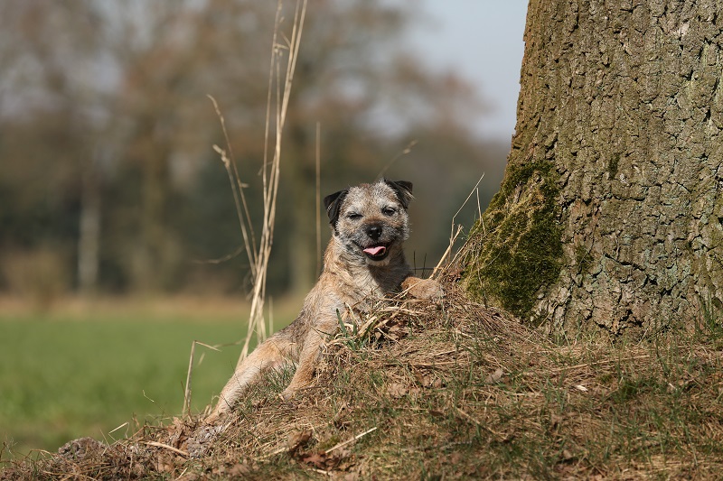 Training im Wildpark