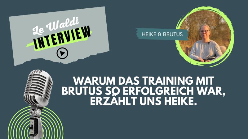 Warum das Training mit Brutus so erfolgreich war. Heike erzählt.