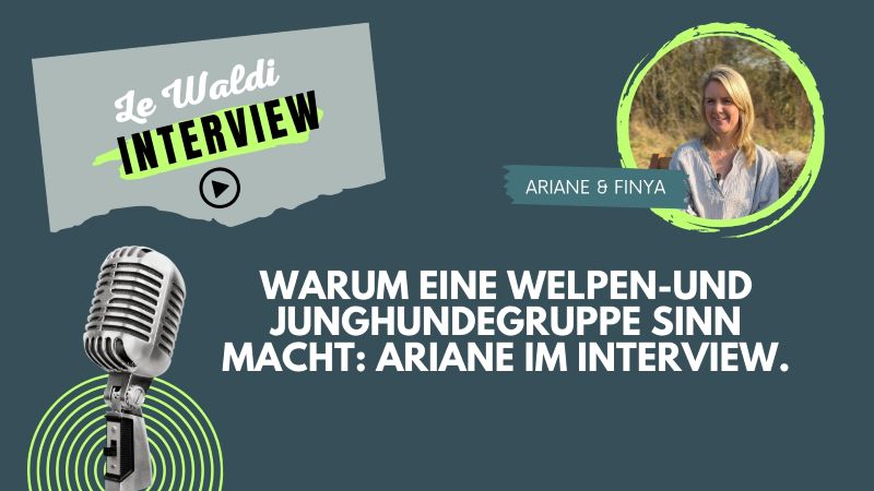 Warum Welpen- und Junghundegruppe Sinn macht! Ariane erzählt.